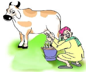 Boost milk production Micro will be cash